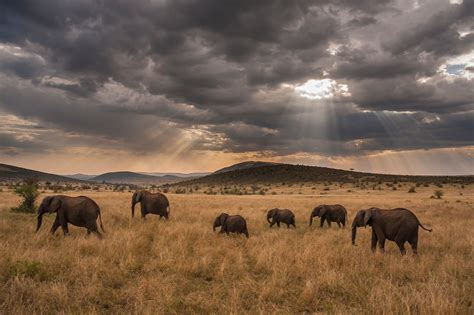 The Best of Africa's Science, Scenery and Serenity - Scientific American