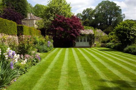 How to mow stripes into a lawn: for a professional finish | Homes & Gardens