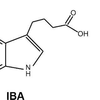 Chemical structures of indole-3-acetic acid (IAA), indole-3-butyric ...