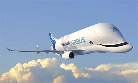 Why Did Airbus Build The Beluga XL? - Simple Flying