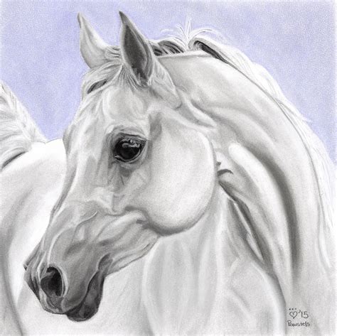 White Arabian Horse Art Digital Download Instant Download - Etsy