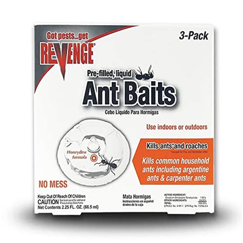 Best Bait Traps For Outsmarting Carpenter Ants