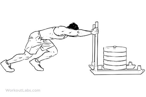 Sled Push | WorkoutLabs