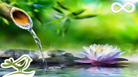 Soothing Relaxation: Relaxing Piano Music & Water Sounds for Sleep, Meditation, Spa & Yoga ...