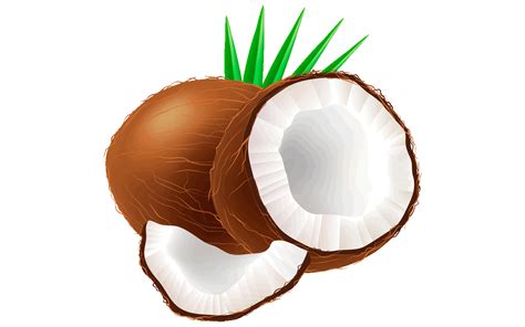 Hammock clipart coconut, Hammock coconut Transparent FREE for download ...