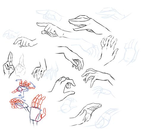 Hand study by moni158 on DeviantArt