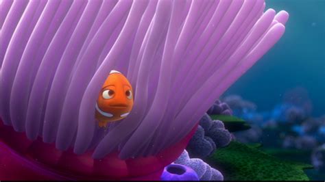 Finding Nemo - Disney Photo (33585939) - Fanpop