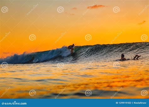 Surf Girl on Surfboard at Sunset. Woman in Ocean, Sunset Surfing. Stock ...