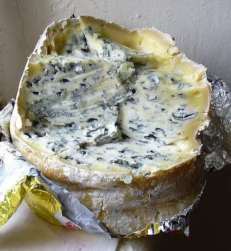 Fourme d'Ambert cheese suppliers, pictures, product info