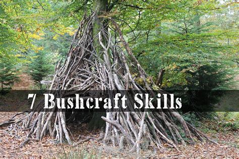 7 Bushcraft Skills That Will Help You Survive in The Wild