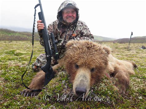 Alaska Peninsula Brown Bear Hunting - Vast Alaska