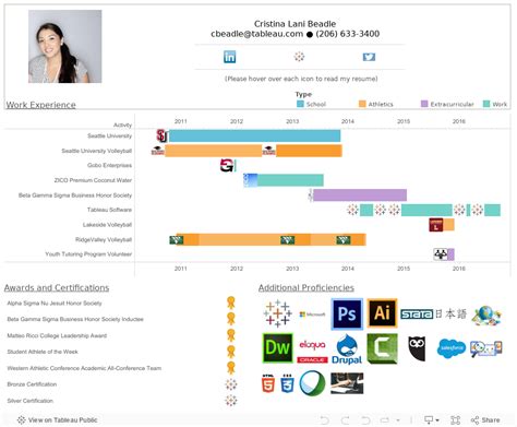 How to Create an Interactive Resume in Tableau | Tableau Public