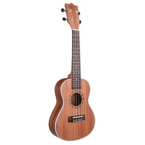 10 Best Concert Ukuleles Reviewed in Detail [Jun. 2024]