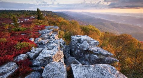 Autumn in the Appalachian Forest (U.S. National Park Service)