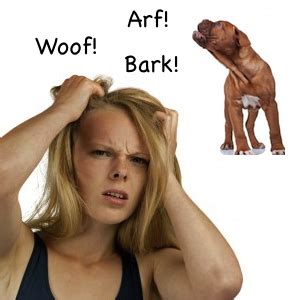 Excessive Dog Barking is Causing you Stress - Learn how to stop it!