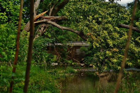 The Donkey Lady Bridge: San Antonio’s Terrifying Folk Tale - Texas Hill Country