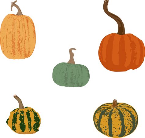 Download Pumpkins, Squash, Gourds. Royalty-Free Vector Graphic - Pixabay