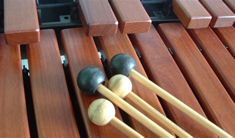 The 5 Best Xylophones (2024)