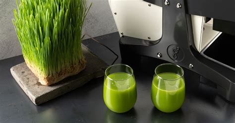 Wheatgrass Juice Recipe | Goodnature