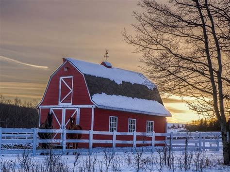 Beautiful Barn Pictures From Across the Country | Our Canada