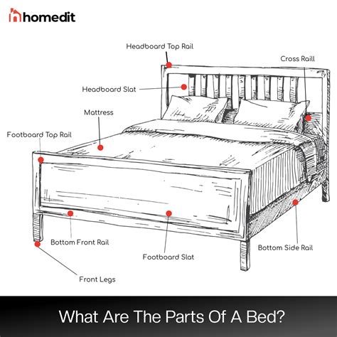 What are the Parts of a Bed? (Labeled Diagram)