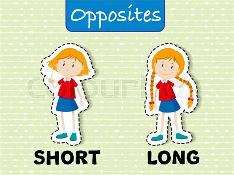 Opposite words for short and long ... | Stock vector | Colourbox