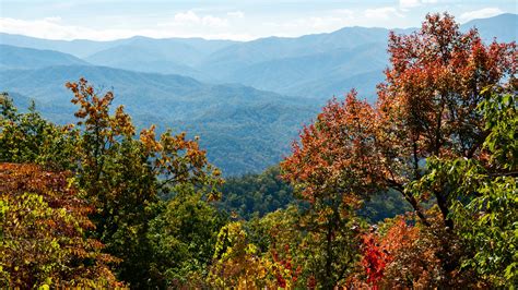 East Tennessee and Great Smoky Mountains fall colors are near the peak