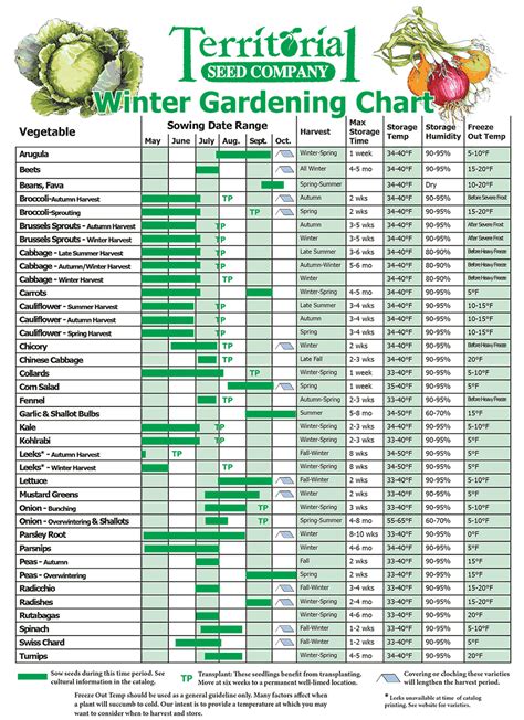 zone 8 vegetable planting calendar guide urban farmer - doing my best for him planting guide for ...