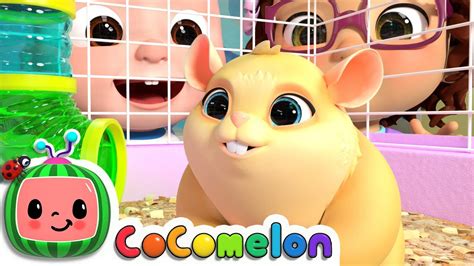 Class Pet Song | CoComelon Nursery Rhymes & Kids Songs - Your Pets Magazine