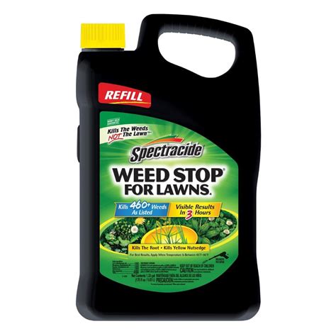 Prostrate Spurge - Lawn Weed Killer - Weed Killer - The Home Depot