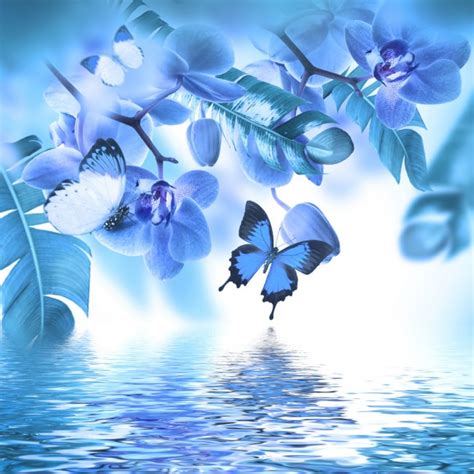 Blue Orchid Wallpaper