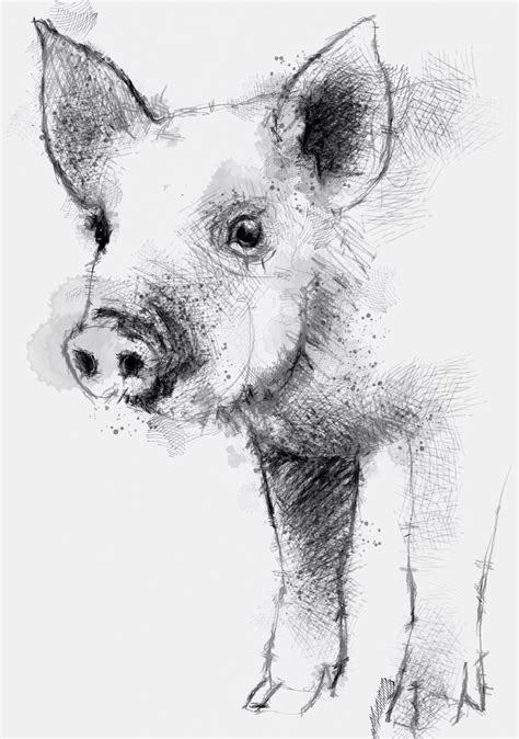 Piglet | SeanBriggs | Pencil drawings of animals, Animal sketches, Animal paintings