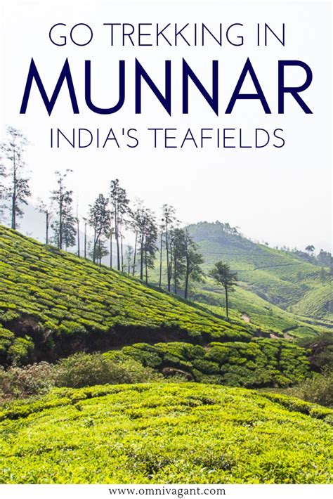 Go Trekking in Munnar - One of India's Most Beautiful Hill Stations - Omnivagant