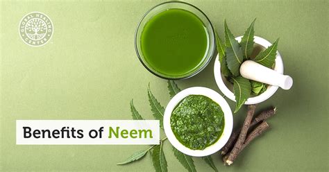 Neem Oil & Leaves: 7 Impressive Health Benefits & Uses