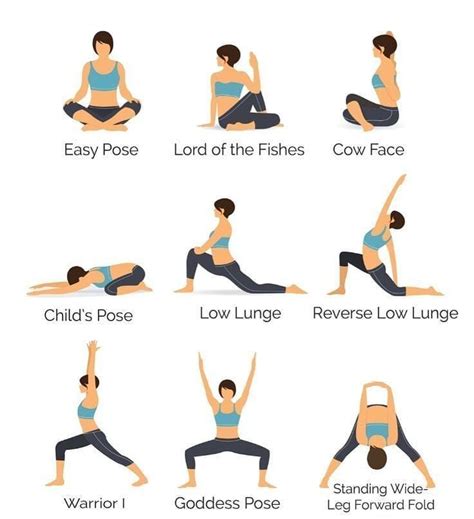 Yoga Poses and their benefits to your body | Essential yoga poses, Daily yoga, Yoga poses