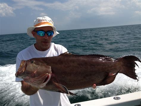 Grouper Fishing Tips | Port Canaveral & Cocoa Beach