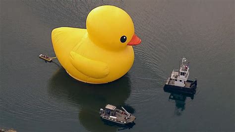 Giant rubber duck wows spectators at Port of LA for Festival of Tall Ships | KABC7 Photos and ...