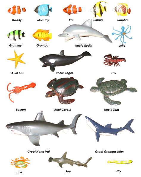 animals names animals in the ocean - DriverLayer Search Engine