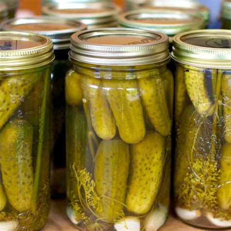 Kosher Dill Pickles