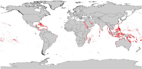 Coral Bleaching Map