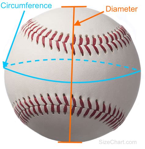 27 how many inches is a baseball Advanced Guide (11/2023)