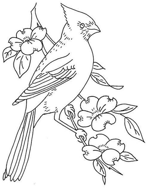 northern cardinal bird coloring page