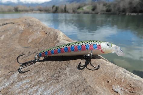 Best Rainbow Trout Lures & Baits Every Angler Should Be Using – Tilt Fishing