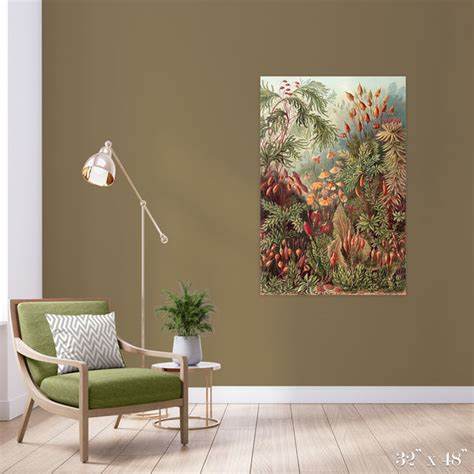 Moss Forest Colossal Art Print – The Detroit Wallpaper Co.