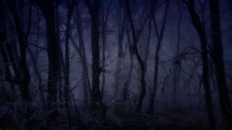 Download Creepy Forest Wallpaper 1920x1080 | Wallpoper #289970