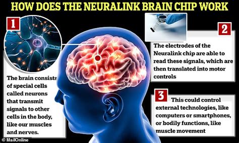 How does Elon Musk's Neuralink brain chip actually work? - Big World Tale