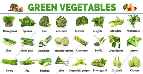 Green Vegetables: List of 31 Types of Vegetables that Have Green Color – My English Tutors