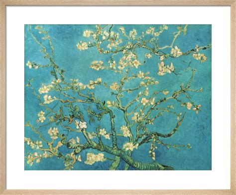 Almond Blossom, 1890 Art Print by Vincent Van Gogh | King & McGaw