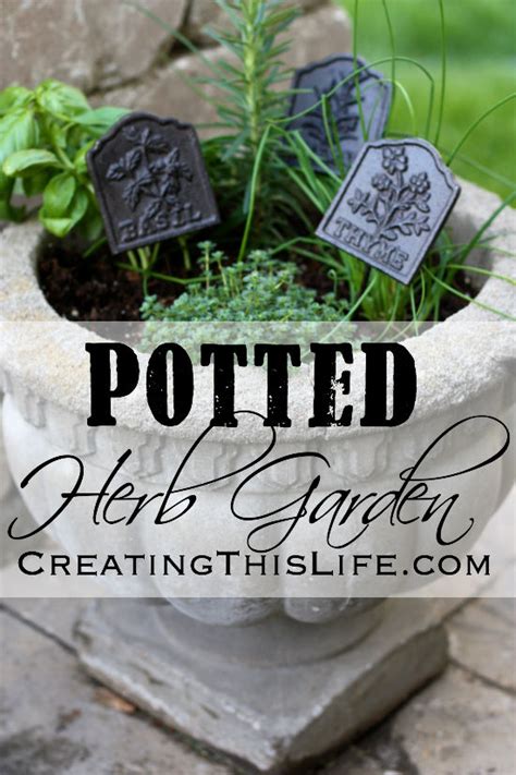 Potted Herb Garden · Creating This Life