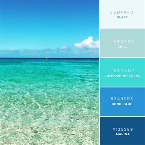 Build your brand: 20 unique color combinations to inspire you – Canva Aqua Color Palette, Brand ...